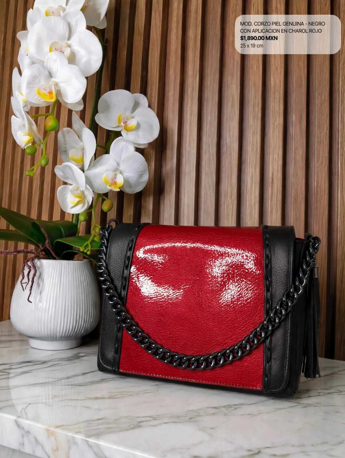 CORZO NEGRO CON CHAROL ROJO